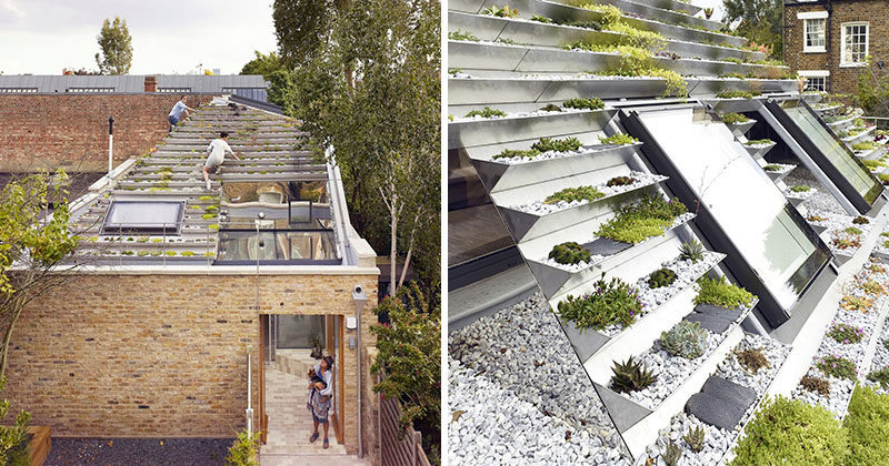This green roof on a home in London, has a series of terraced stainless steel planters filled with over 800 plants.