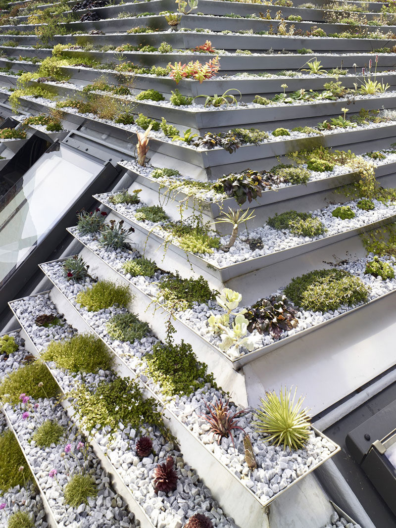 This green roof on a home in London, has a series of terraced stainless steel planters filled with over 800 plants.