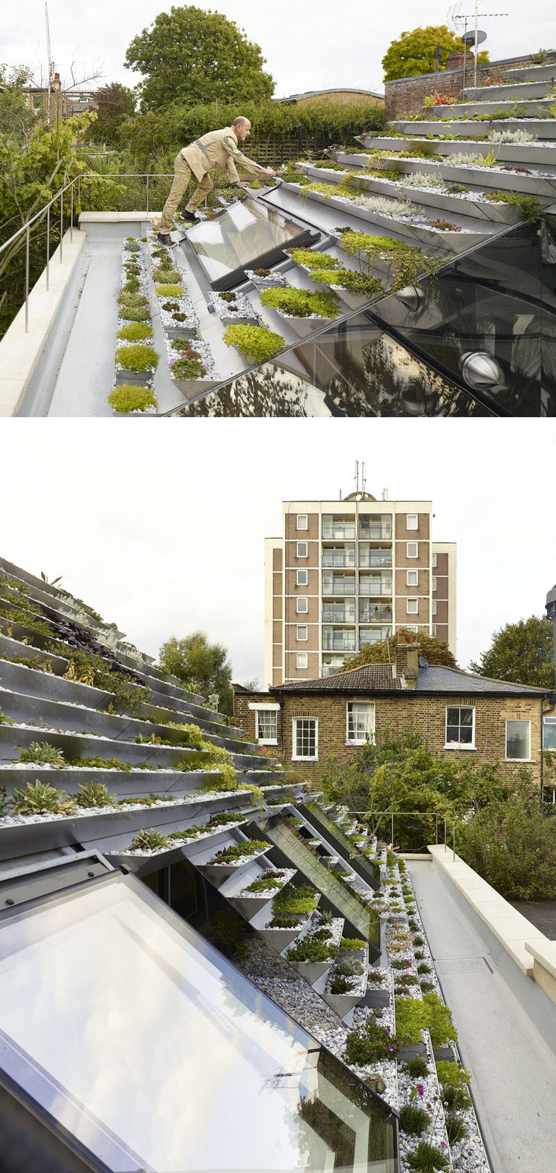 This green roof on a home in London, has a series of terraced stainless steel planters filled with over 800 plants.