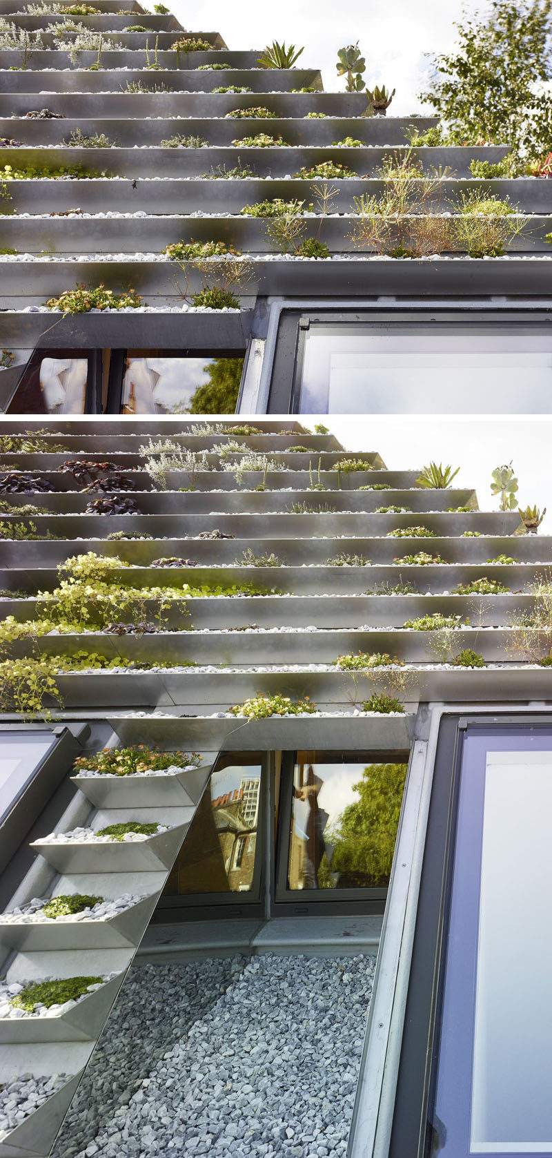 This green roof on a home in London, has a series of terraced stainless steel planters filled with over 800 plants.