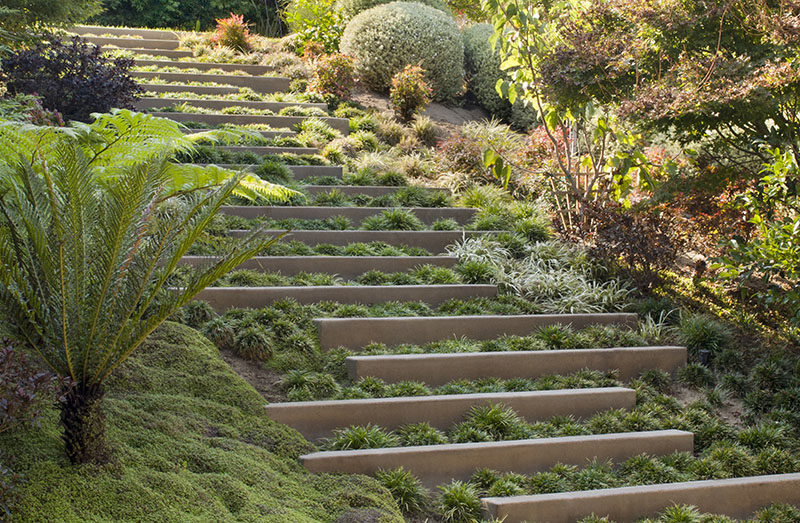 LANDSCAPING DESIGN IDEA - The stepped landscaping provides an interesting visual element to the sloped garden, as well as helping to retain soil in the case of potential erosion. Indigenous trees and plants to California have also been included in the design.