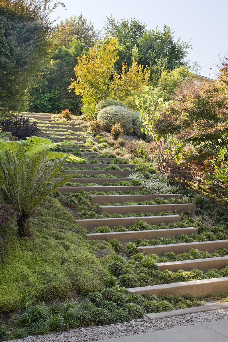 LANDSCAPING DESIGN IDEA - The stepped landscaping provides an interesting visual element to the sloped garden, as well as helping to retain soil in the case of potential erosion. Indigenous trees and plants to California have also been included in the design.