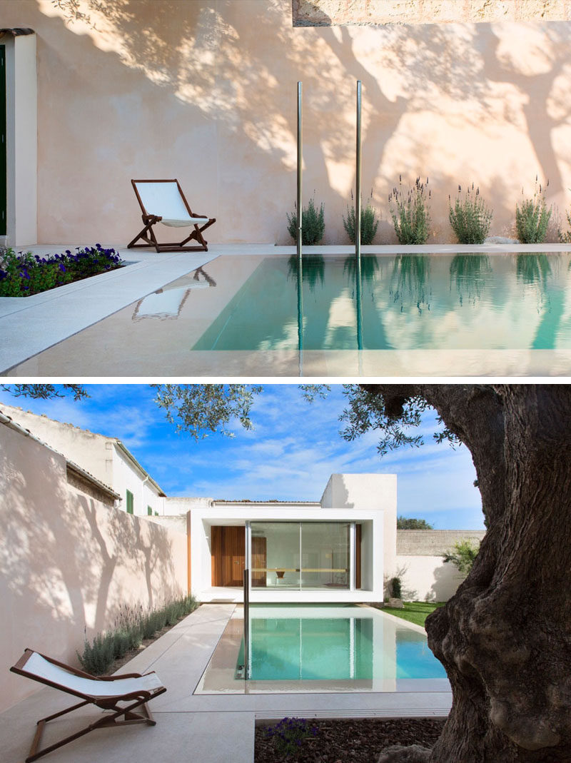 A small pool is positioned between a house and studio space, with lighting highlighting the dramatic design of the garden and patio.