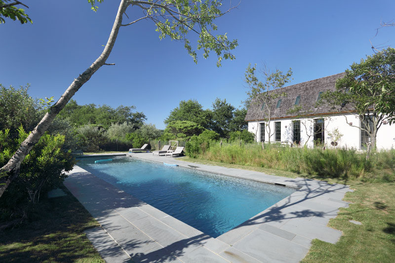 This swimming pool is surrounded by lots of plants creating a private oasis.