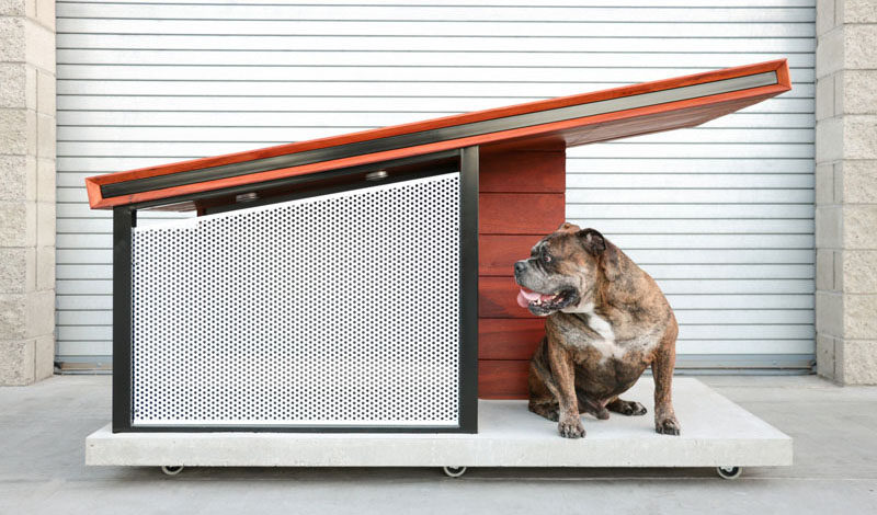 Modern dog house