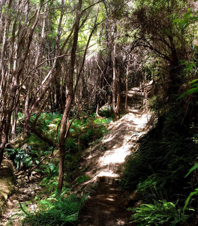 You can hike to and stay in a secluded glass hotel room in the middle of a valley in New Zealand.