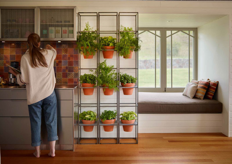 Create a vertical garden in your kitchen for your herb garden.