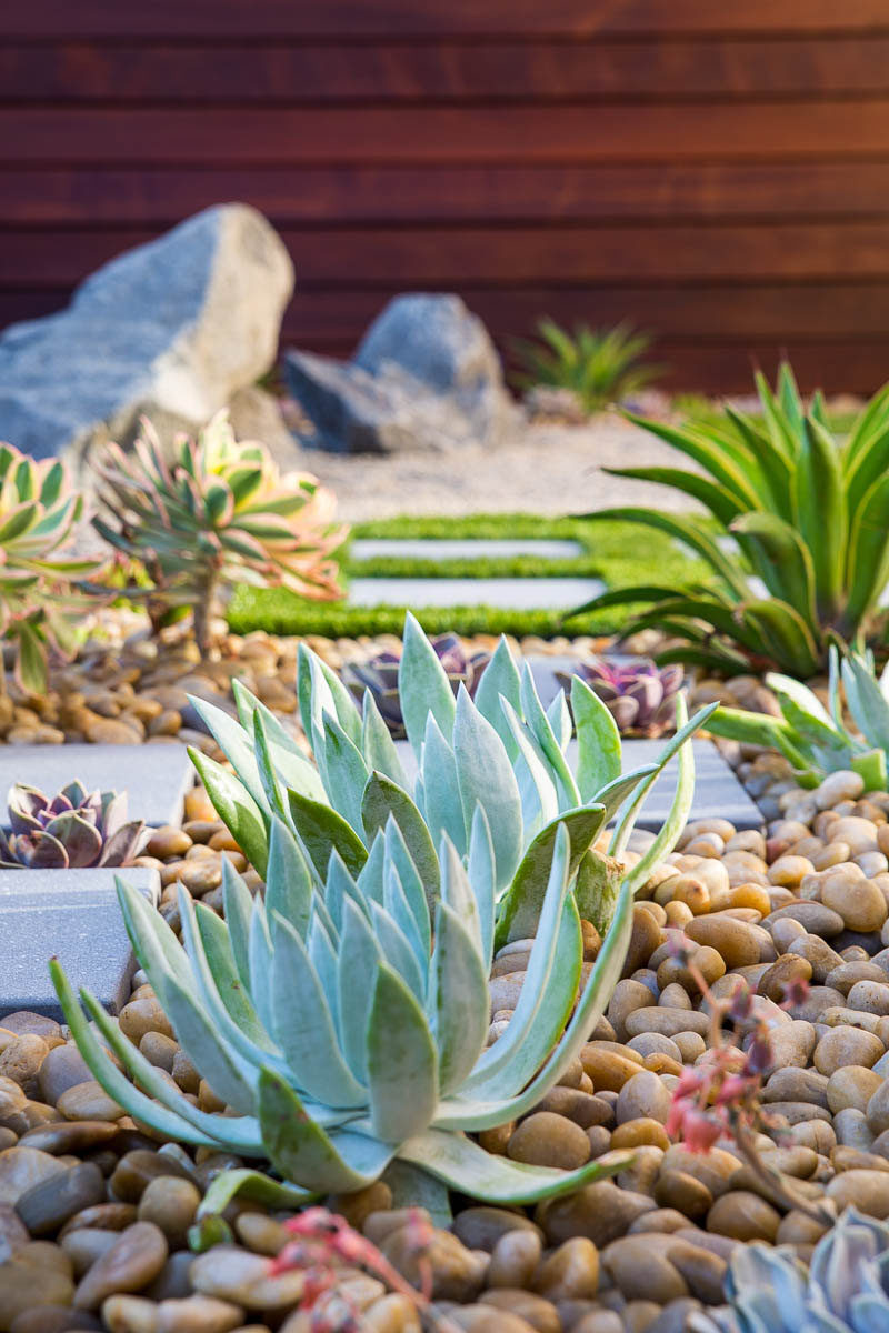 Plant life connects you to nature and aids in the process of relaxation. Including low maintenance plants, like succulents, in your zen garden helps create feelings of calmness and serenity.#ZenGarden #RockGarden #GardenIdeas #PatioIdeas #Landscaping #LandscapeIdeas #LowMaintenanceGarden