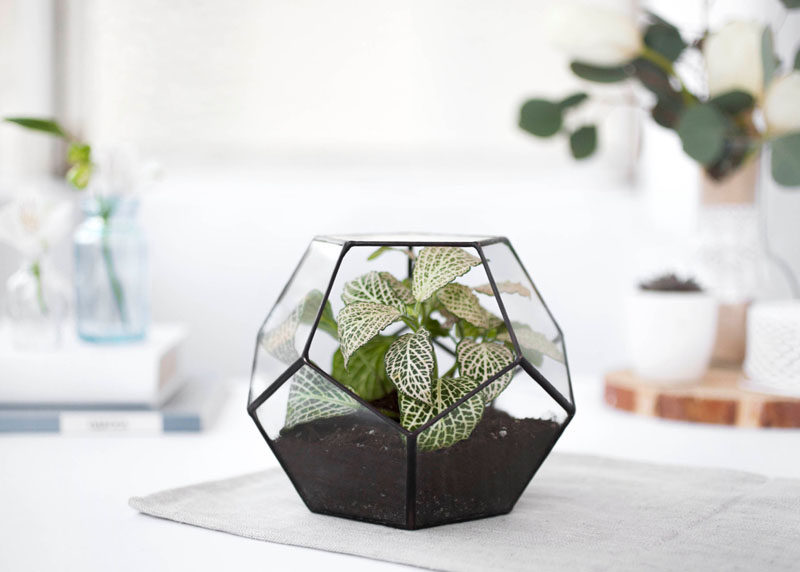 17 Ways To Introduce Botanical Designs Into Your Home Decor // Place a geometric terrarium on your coffee table and be on top of two trends - terrariums and botanicals!