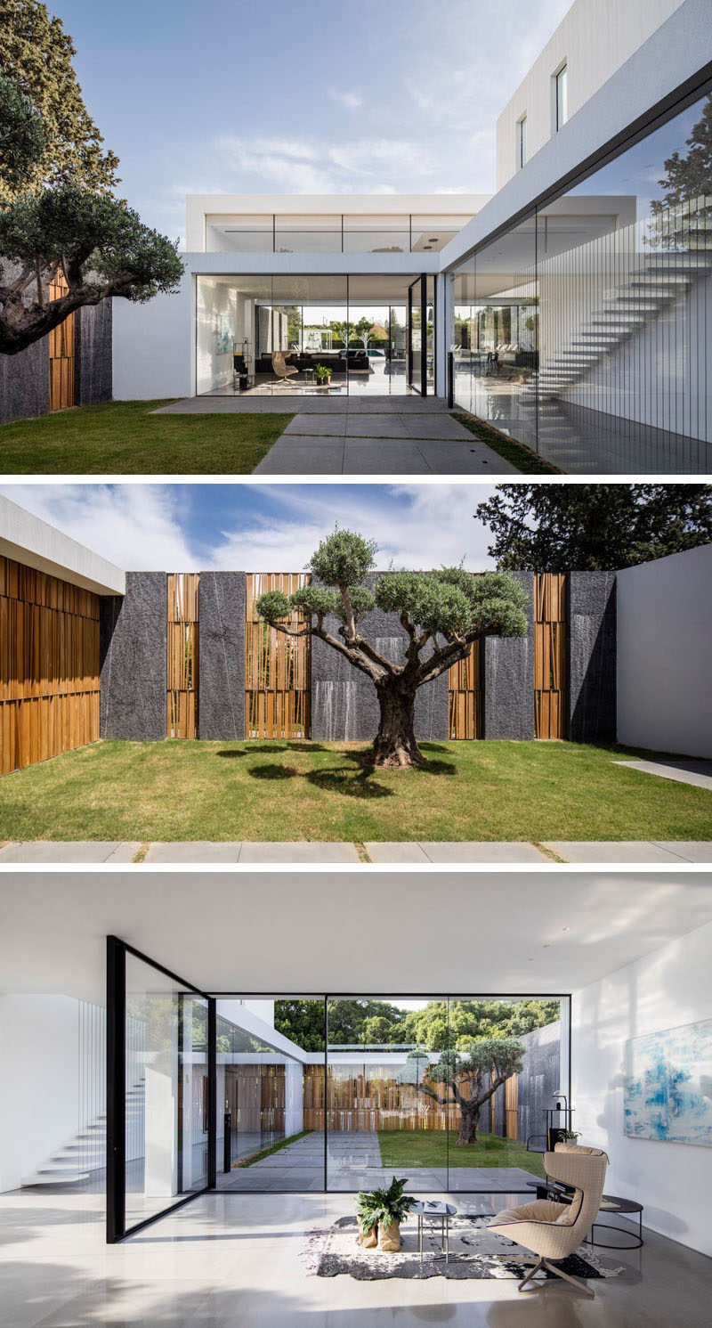 Upon entering this contemporary home, you are greeted by a grassy courtyard with a single tree, and views of the interior of the home. Through the large pivoting glass front door there's a small sitting area.