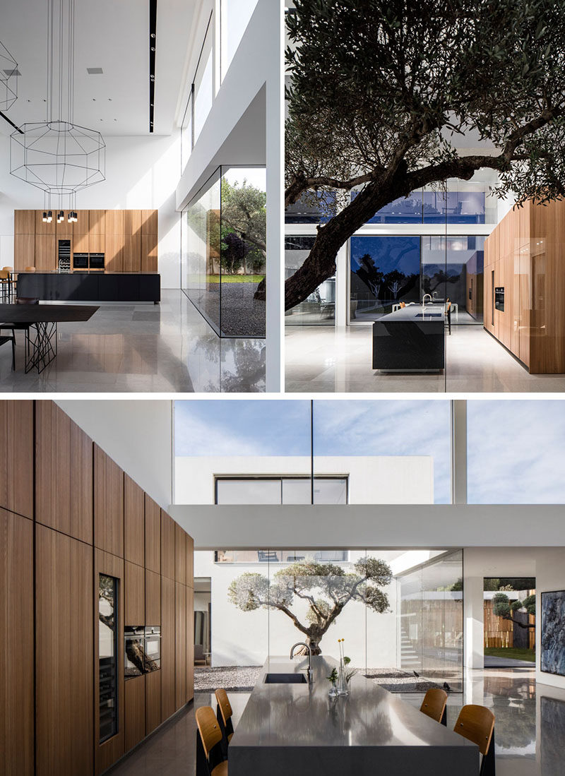 This kitchen, with a view of a tree in a courtyard outside, combines a black kitchen island and wooden cabinetry against the wall.