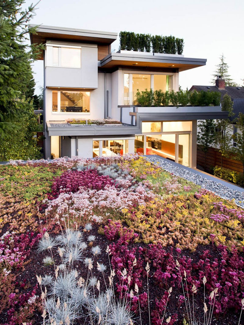 8 Benefits Of Installing A Green Roof On Your Home