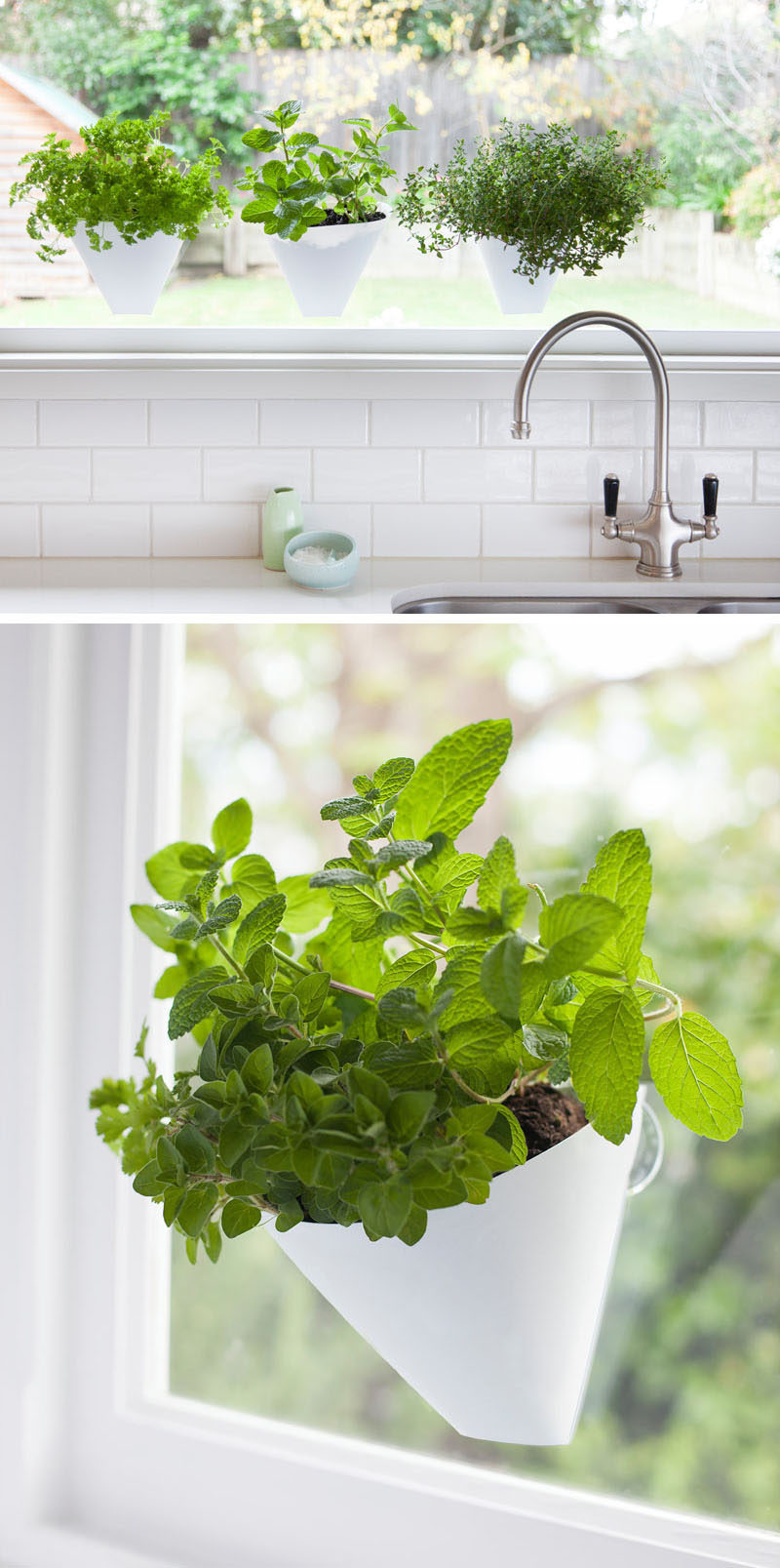 Indoor Garden Idea Hang Your Plants From The Ceiling Walls