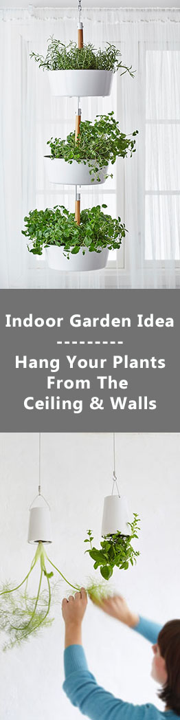 Indoor Garden Ideas - Hang Your Plants From The Ceiling & Walls
