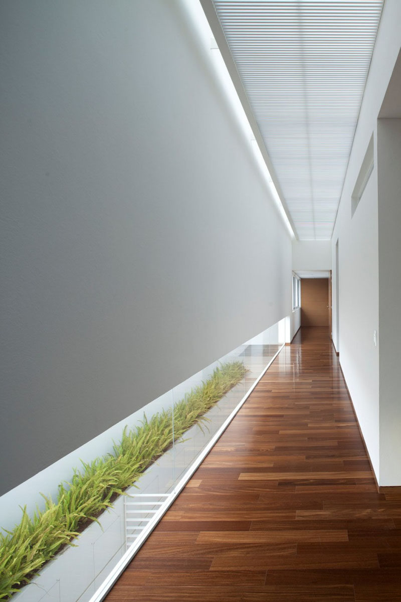 This low horizontal window in this white and wood hallway lets light in and allows for views of the plants.