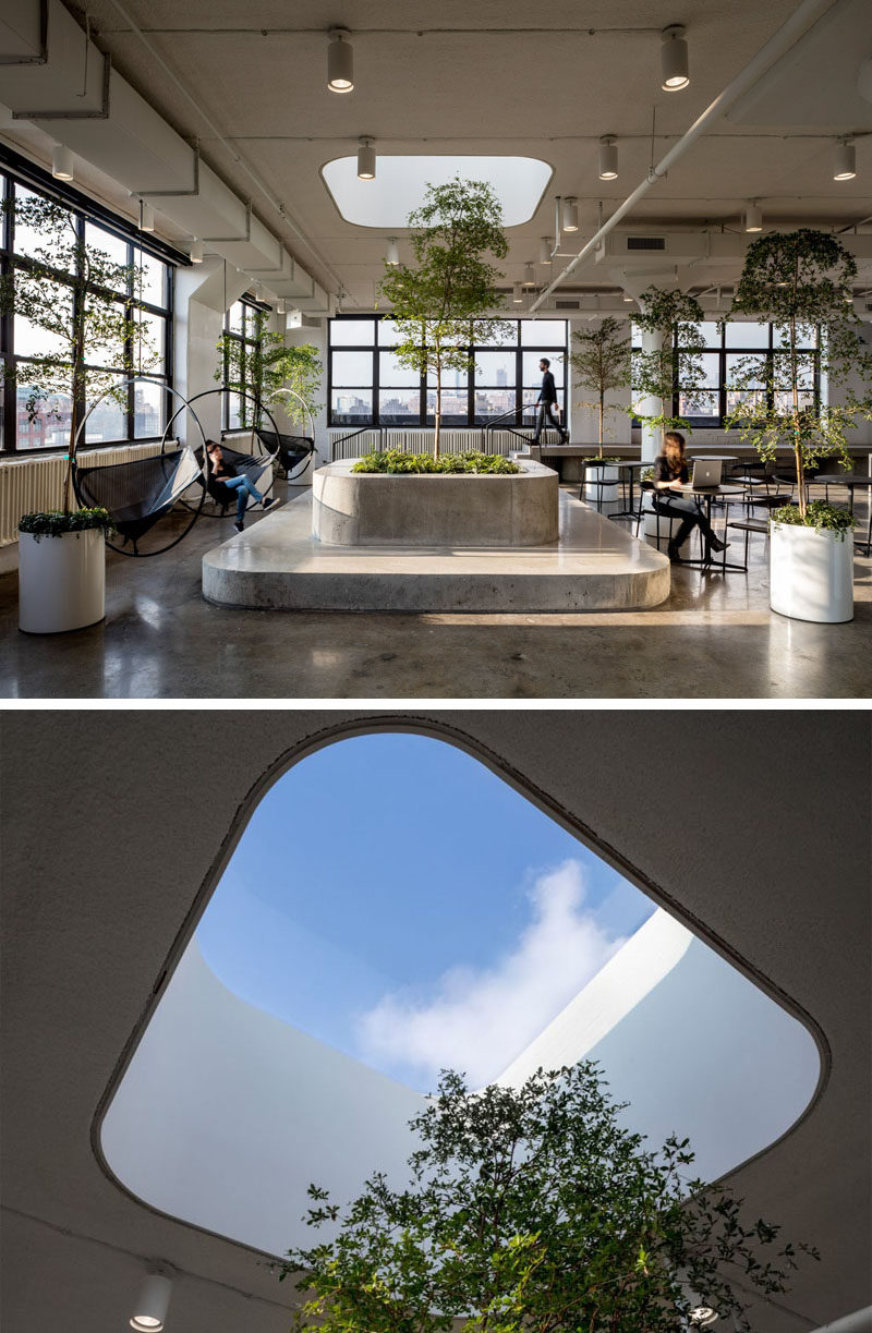 Touches of nature, like trees, have been added to this office space to soften up the hardness of the concrete.