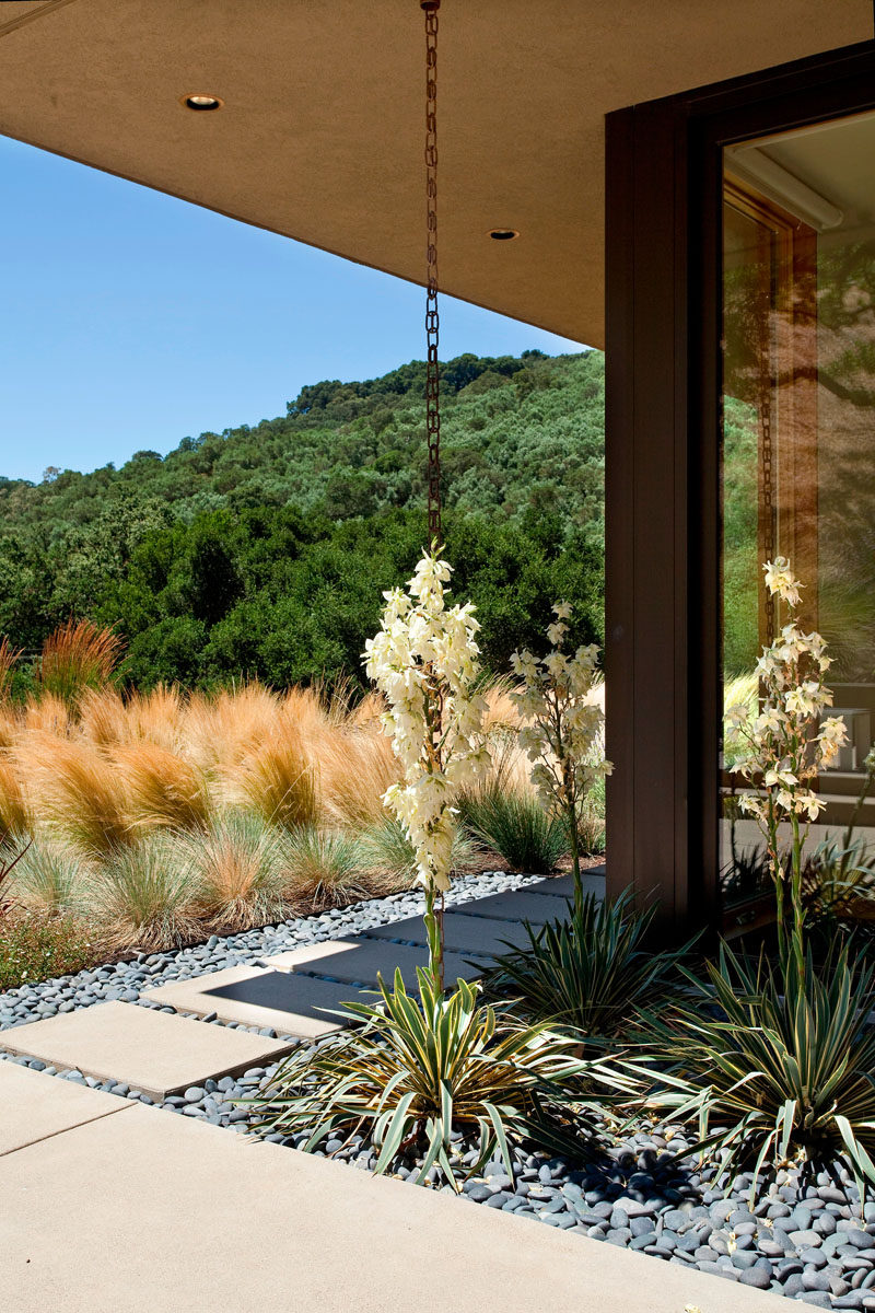 14 Modern Homes That Use Rain Chains To Divert Water // Flowers have intertwined with this rain chain and turned it into an even more unique design element on the side of this home.