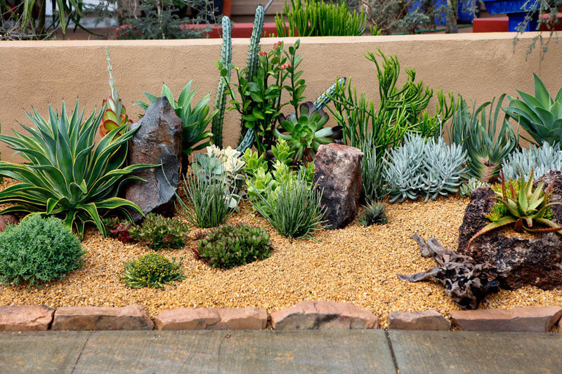 The front yard of this home has been filled with rocks and an assortment of low maintenance, drought tolerant plants.  #RockGarden #GardenIdeas #ModernGarden #Landscaping #GardenDesign