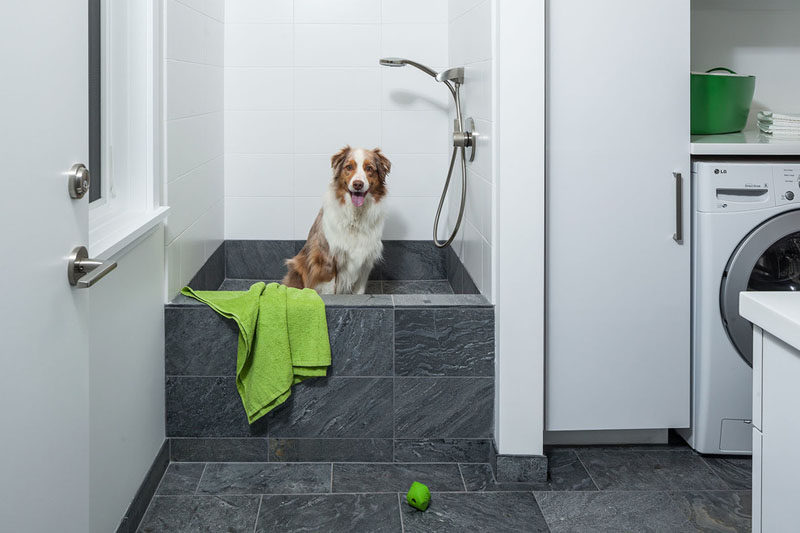 5 Benefits Of Having A Dog Wash Station In Your Home // They're the perfect height for your pup to jump into and you don't have to bend over too much to wash them.