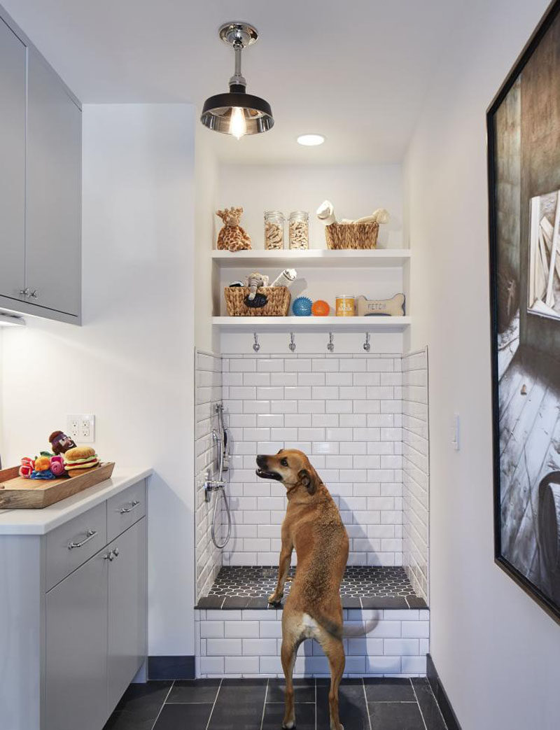 5 Benefits Of Having A Dog Wash Station In Your Home // You can have shelves surrounding them keeping all the shampoos, treatments and snacks easily within reach.