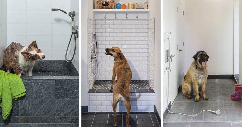 5 Benefits Of Having A Dog Wash Station In Your Home