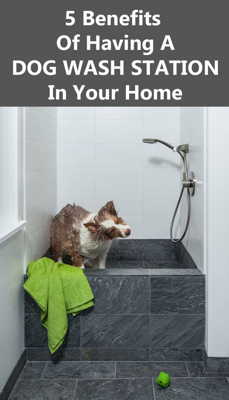 5 Benefits Of Having A Dog Wash Station In Your Home