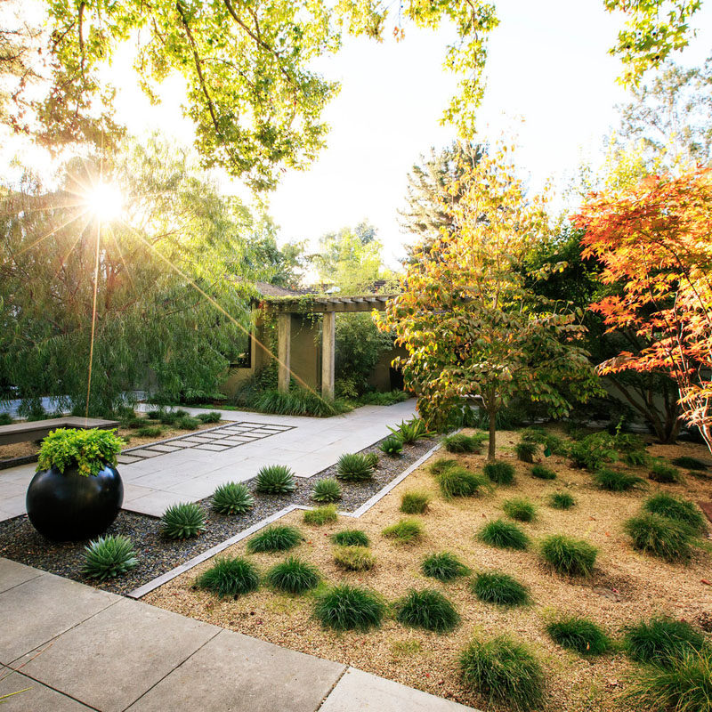 This yard uses drought tolerant plants and small stones of various kinds to create a low maintenance yard full of color and texture. #RockGarden #GardenIdeas #ModernGarden #Landscaping #GardenDesign