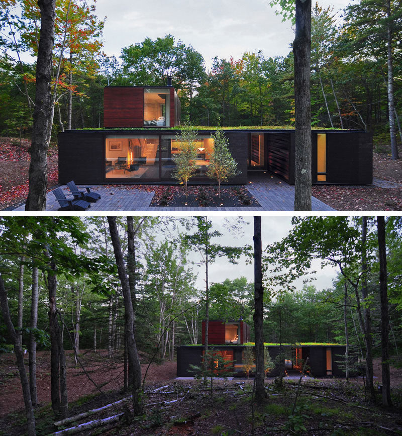 18 Modern House In The Forest // Large trees surround this home with green roof located deep within the forest. #ModernHouse #ModernArchitecture #HouseInForest #HouseDesign