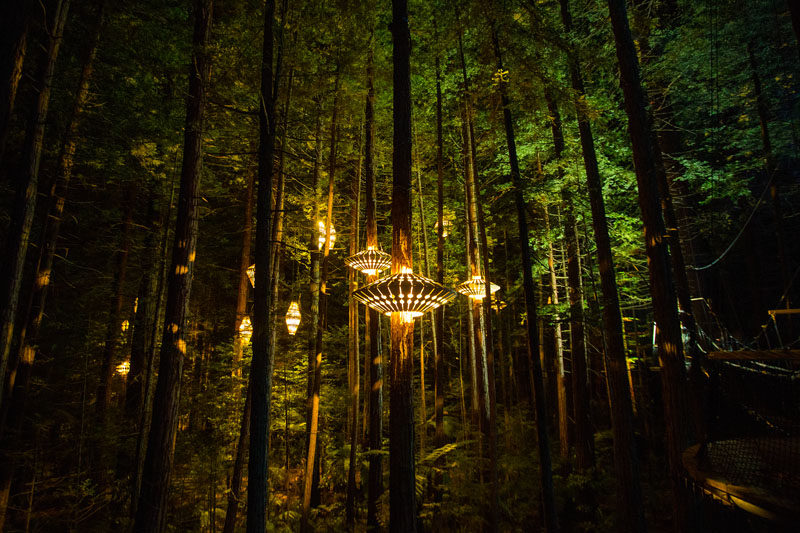 Sculptural Lights By David Trubridge Have Been Added To A Treewalk In New Zealand