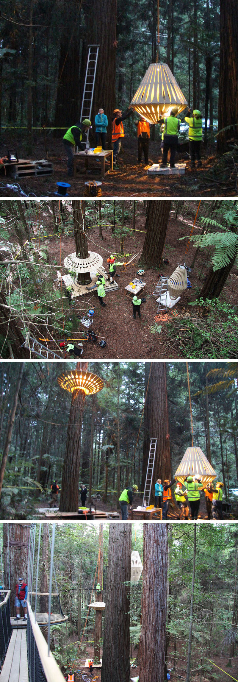 New Zealand based designer David Trubridge and Redwoods Treewalk Rotorua have worked together to create Redwoods Nightlights - New Zealand’s first design-led tourism experience that features a suspended tree walk surrounded by 30 of Trubridge's custom made light fixtures.