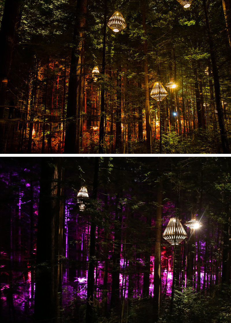 New Zealand based designer David Trubridge and Redwoods Treewalk Rotorua have worked together to create Redwoods Nightlights - New Zealand’s first design-led tourism experience that features a suspended tree walk surrounded by 30 of Trubridge's custom made light fixtures.