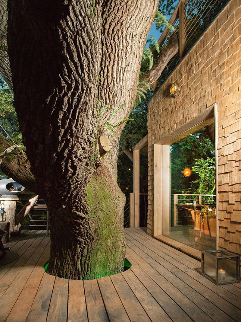 This modern grown-up treehouse has a deck that wraps around a tree.