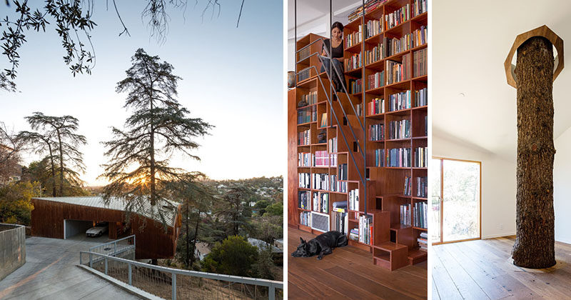This Hillside House In Los Angeles Was Built Around A Tree