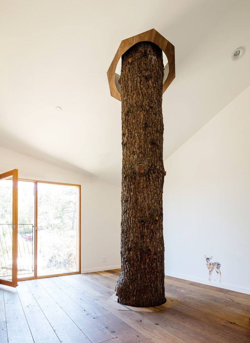 One of the bedrooms in this house has a tree that pierces through the floor and ceiling, and out through the roof. 