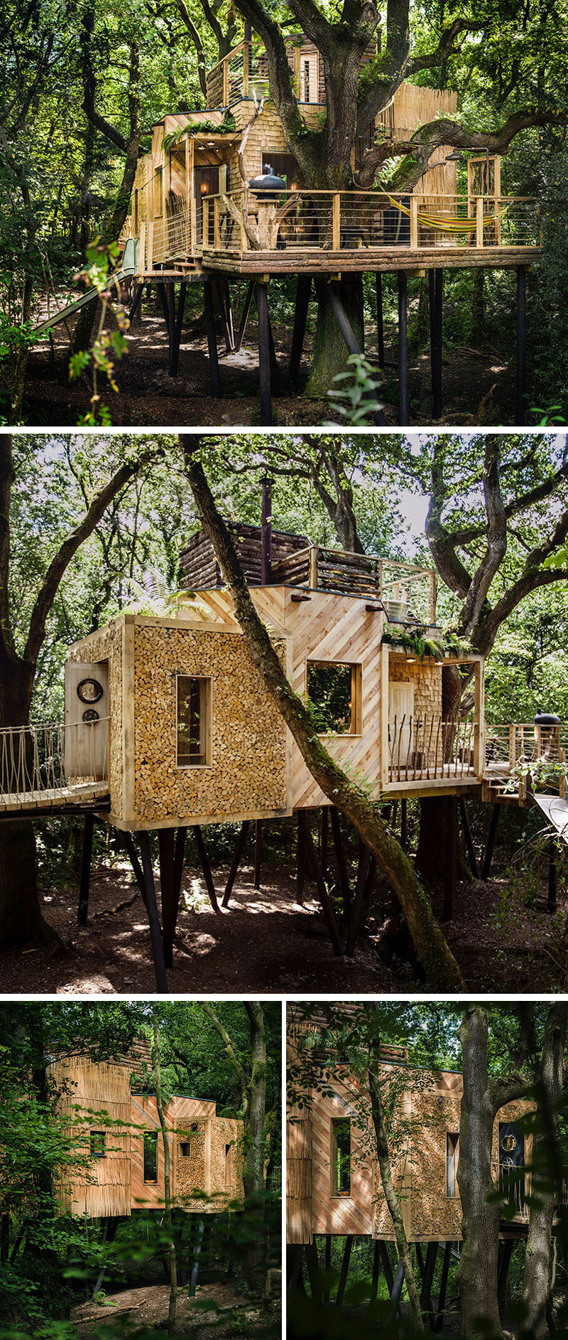 This amazing treehouse hotel was designed for adults on vacation