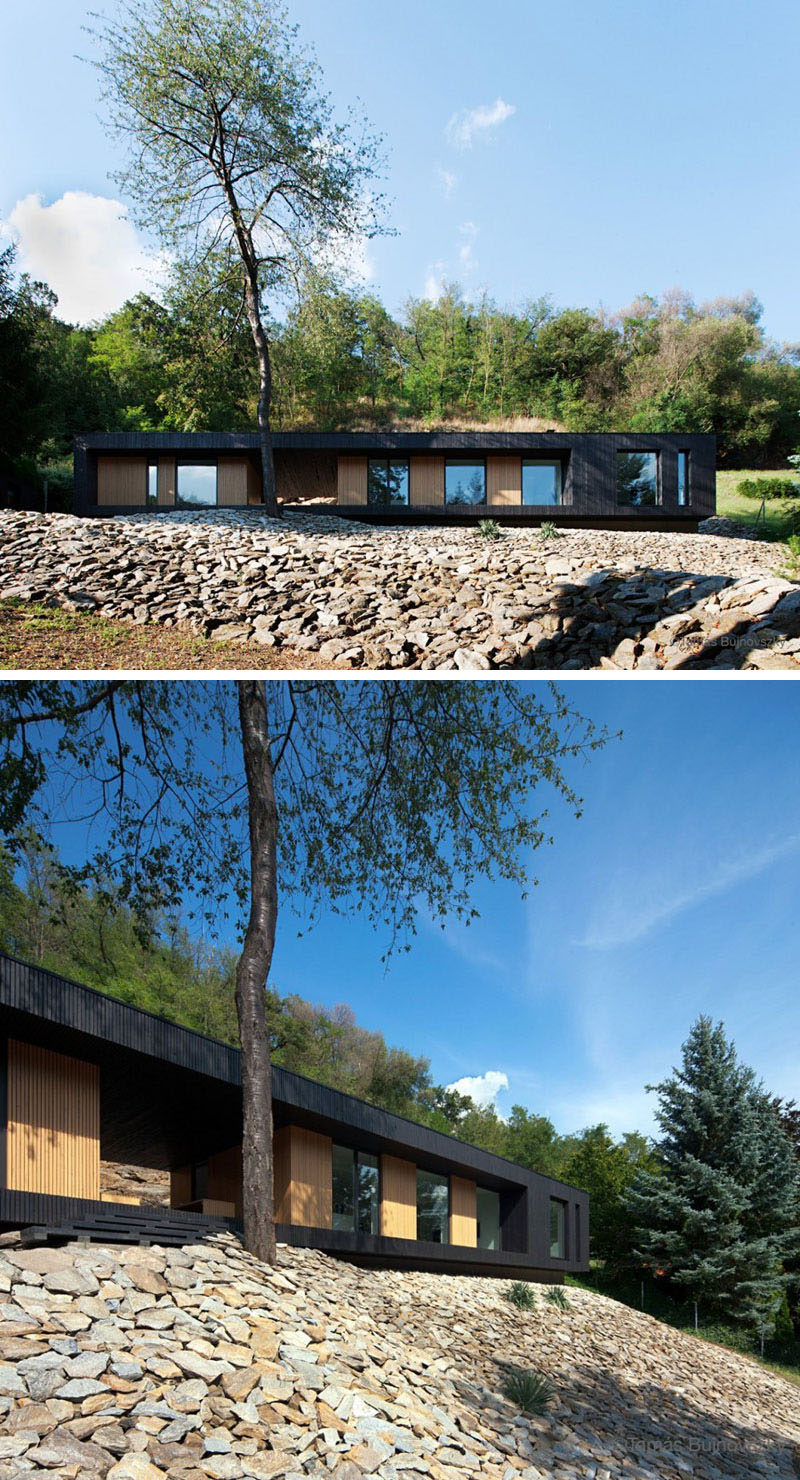 15 Single Story Modern Houses | Blackened wood contrasts the light wood siding to create a modern looking single story house.