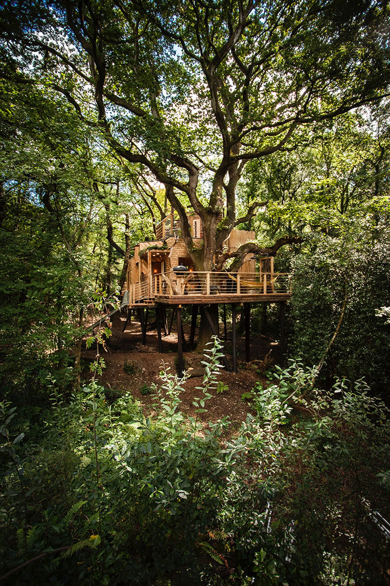 Located in West Dorset, England, this two-storey modern treehouse is arranged around a canopy of aged oak trees, and includes many a circular interior with modern luxuries.