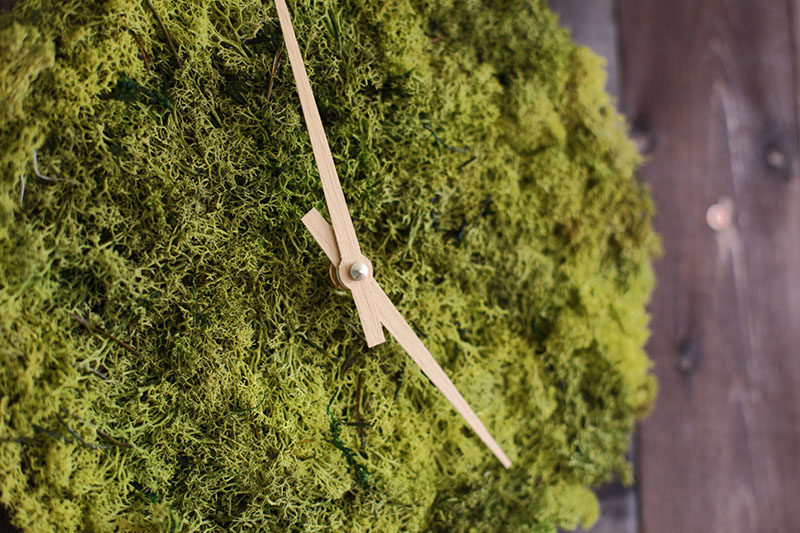 Design studio HerrMittmann, has created a modern wall clock covered in Icelandic moss, that makes it easy to display both the time and your love for nature.