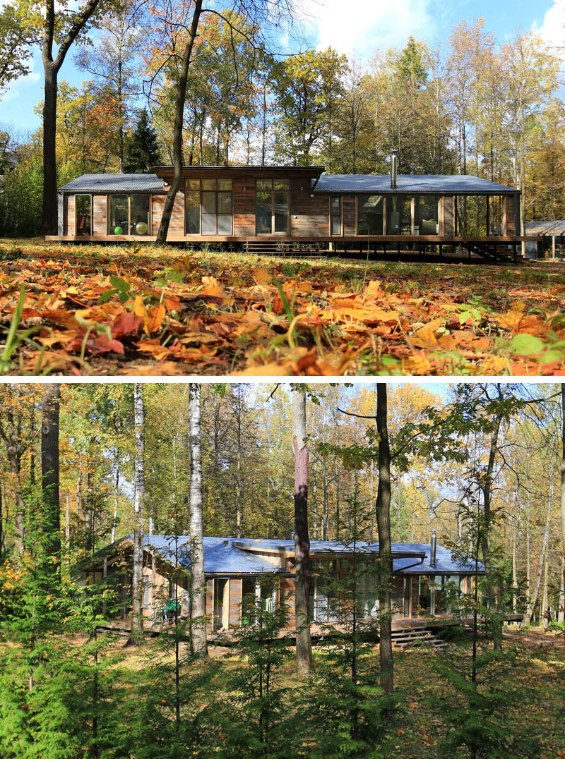 This rustic modern house in a forest has a modular design, with metal framing combined with barn board and glass to create a look that fits in with the surrounding environment.