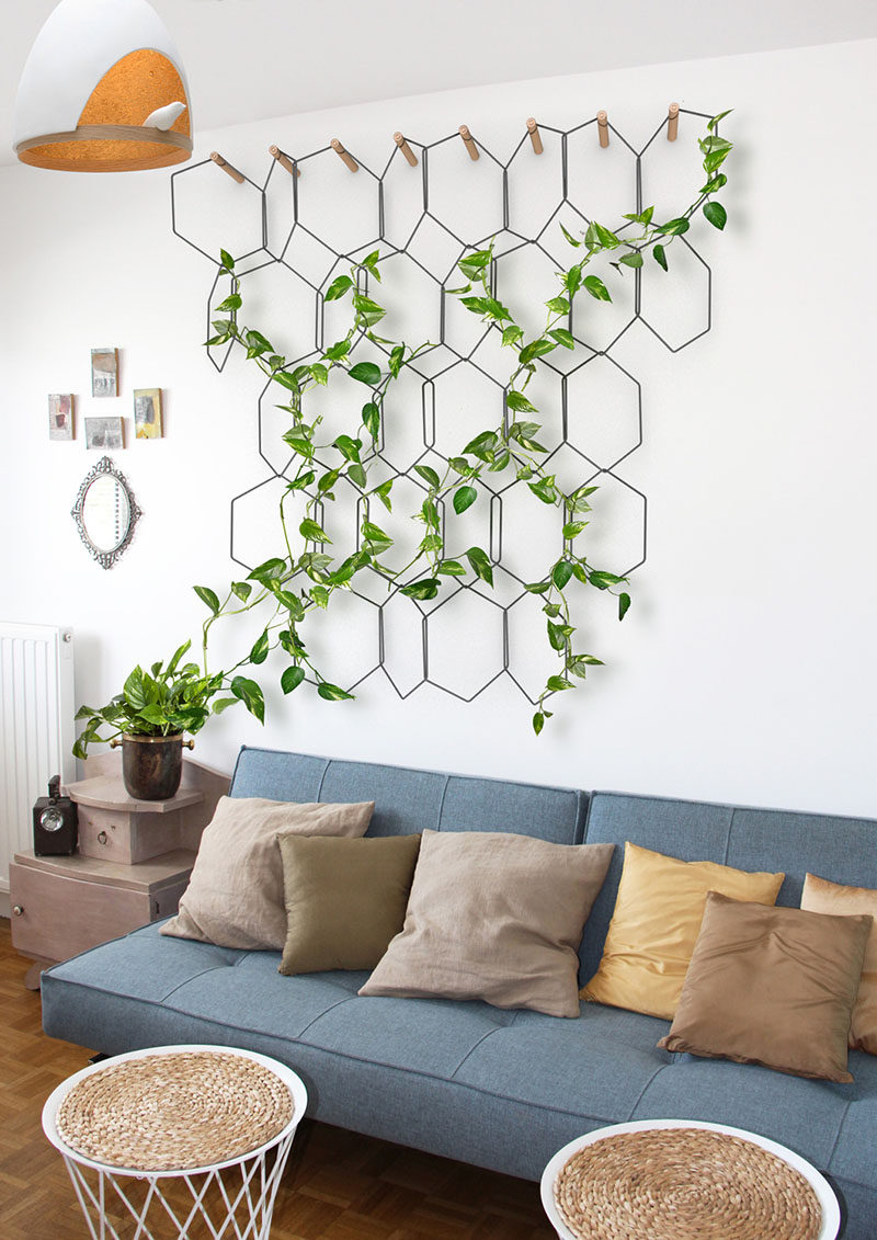 6 Ways To Include Indoor Vines In Your Interior | Modular hexagon wall hangings are designed to add a geometric element to your interior while providing your vines with the perfect frame to climb.