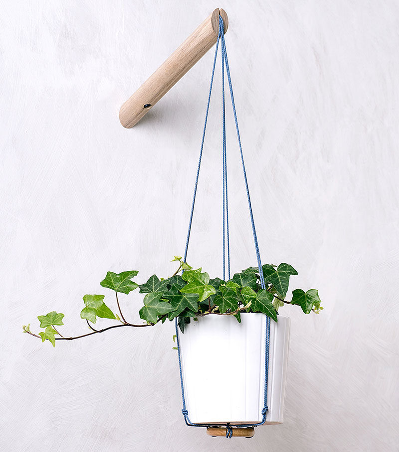 6 Ways To Include Indoor Vines In Your Interior | Hanging planters create the perfect spot for plants with vines as they let the leaves cascade down the sides and fill your space with greenery.