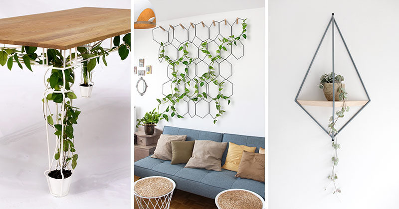 6 Ways To Include Indoor Vines In Your Interior