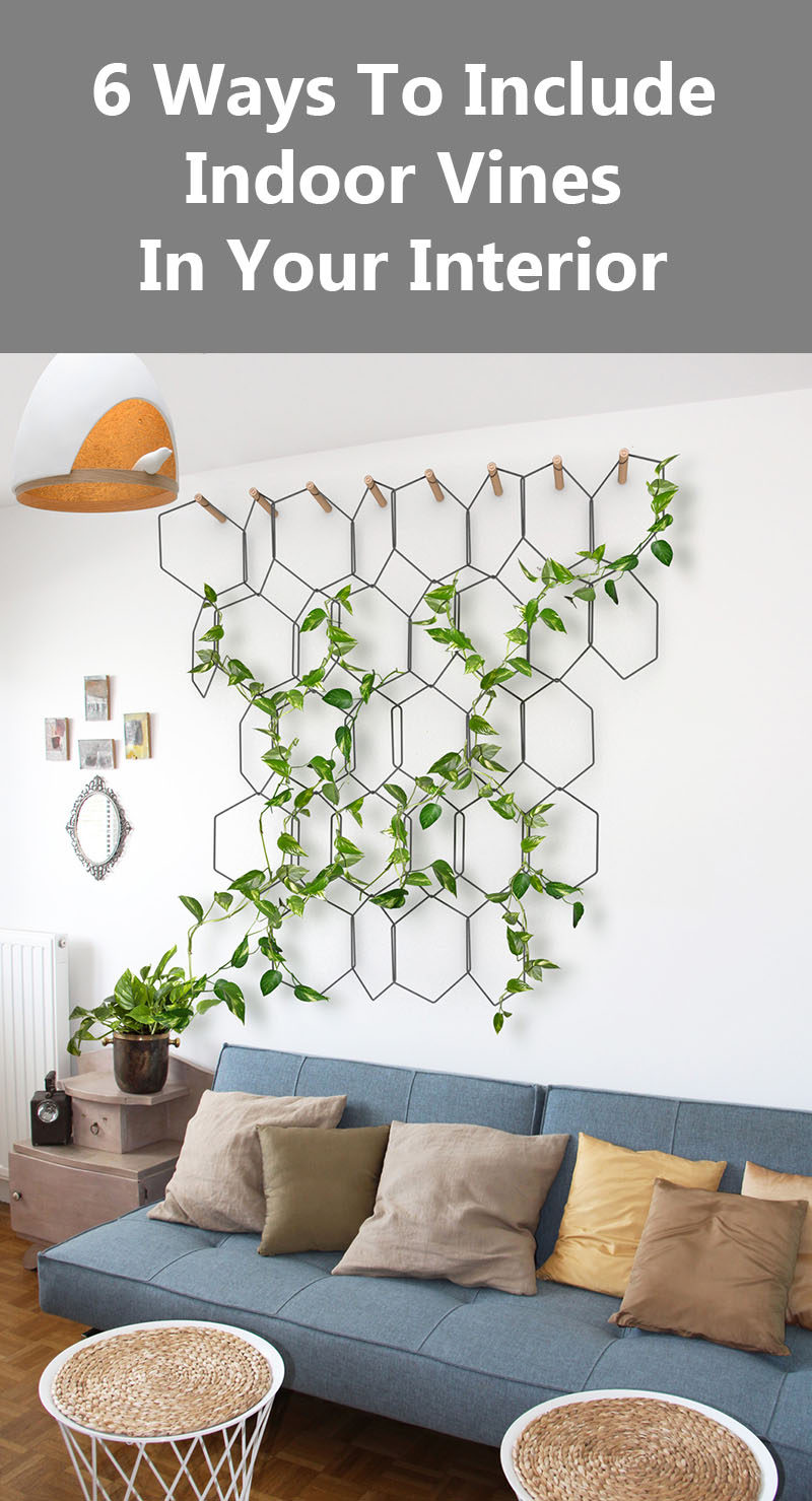 6 Ways To Include Indoor Vines In Your Interior