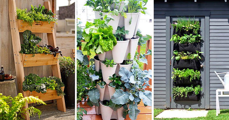5 Vertical Vegetable Garden Ideas For, Wall Vertical Vegetable Garden Ideas