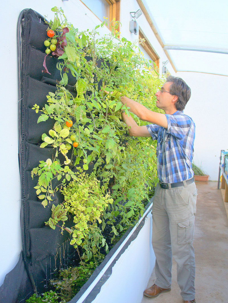 5 Vertical Vegetable Garden Ideas For Beginners / Using felt pockets is a great way to create a vertical vegetable garden. They're easy to attach to most surfaces and can expand to hold all of the veggies growing inside them.