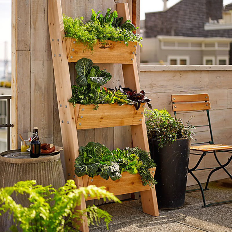 5 Vertical Vegetable Garden Ideas For Beginners / A vegetable ladder is another great option for creating a vertical garden, especially when space is limited. They're easy to water, maintain, and harvest and they add a stylish touch to your balcony or back yard.