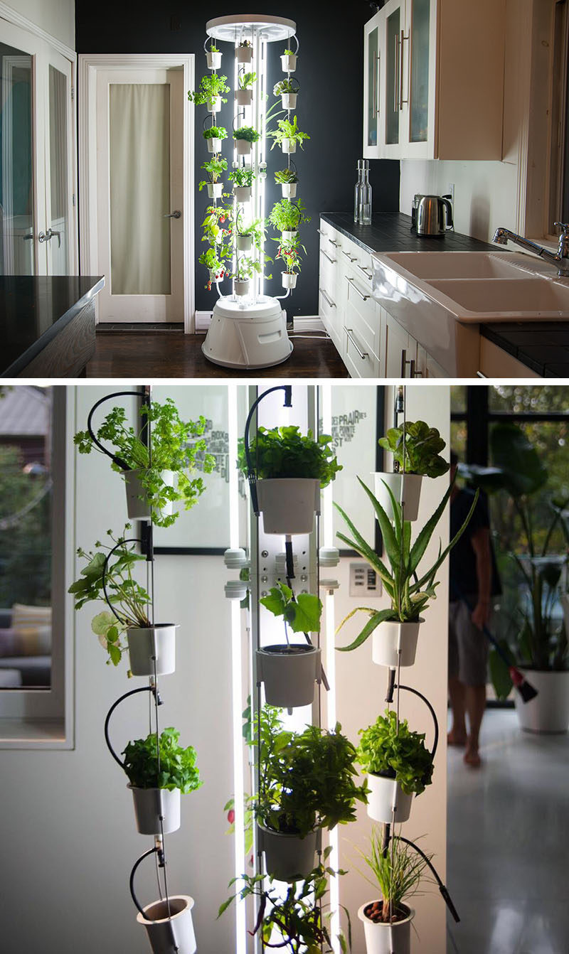 5 Vertical Vegetable Garden Ideas For Beginners / If you're short on space outside but still want to be able to grow some of your own veggies, an indoor vertical vegetable garden is what you need. This tower grows plants and vegetables without using soil and doesn't even require watering. 