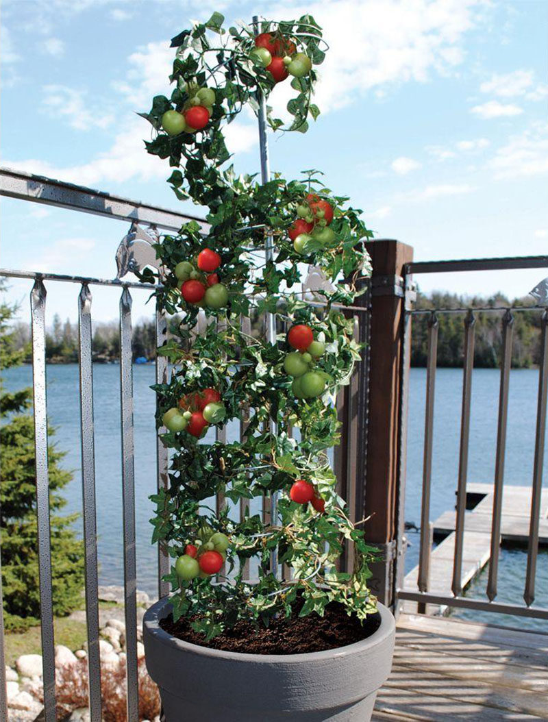 5 Vertical Vegetable Garden Ideas For Beginners