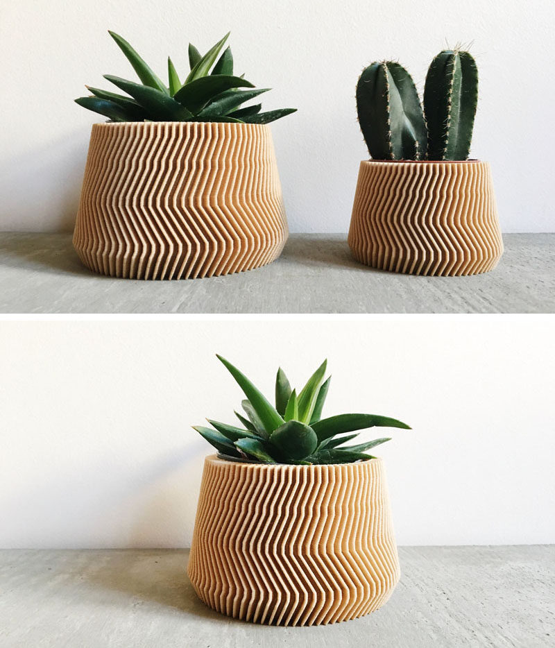 These Biodegradable Planters Are Made From 3D  Printed Wood