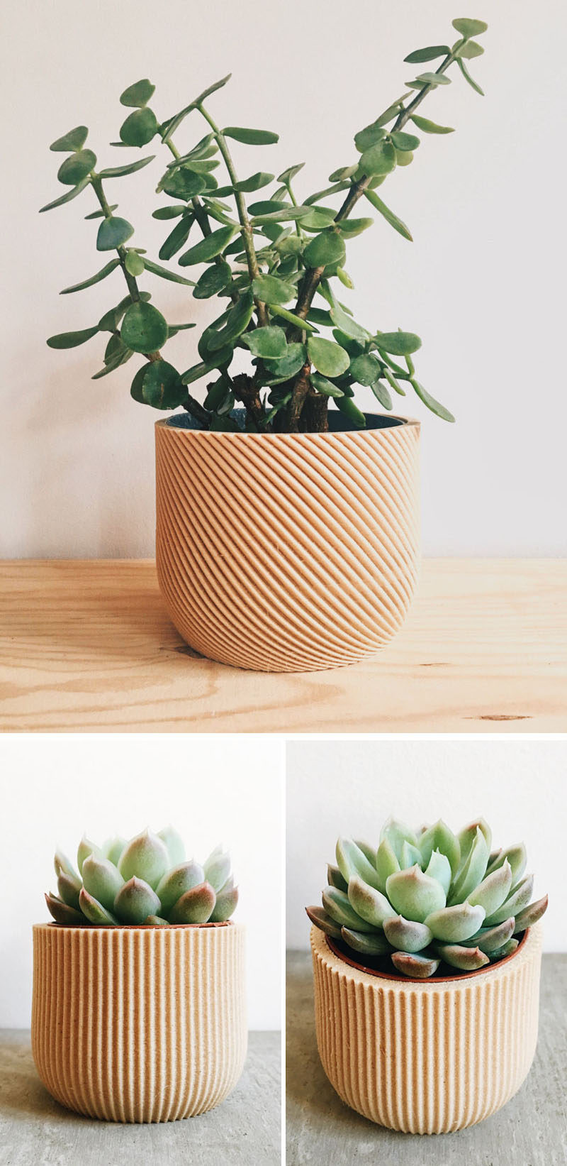 These modern and intricate geometric planters by Minimum Design are 3D printed products made from recycled wood fibers and bioplastic, making them biodegradable.